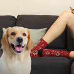 Chaussettes Personnalisées avec Nom et Portrait de l'Animal Cadeau Anniversaire Noël pour Amoureux Propriétaires des Chiens