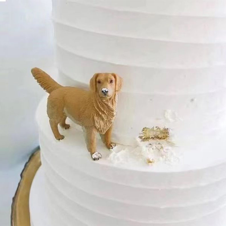 Décoration de gâteau pour chien personnalisée