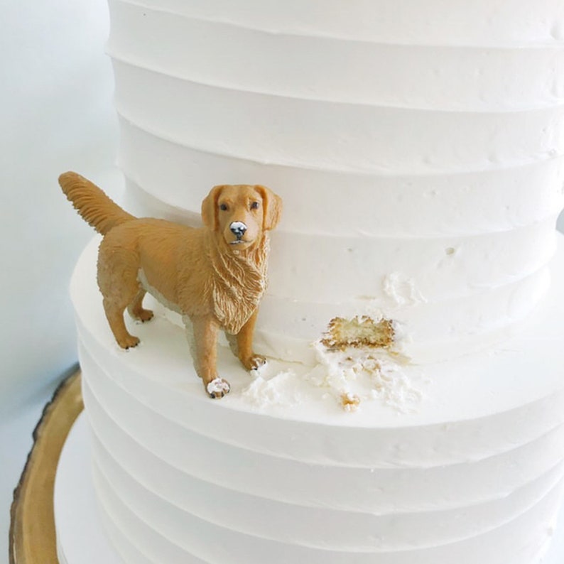 Décorations de gâteau d'anniversaire personnalisées avec portrait d'animal